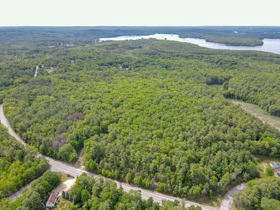 DJI_0959.jpg
