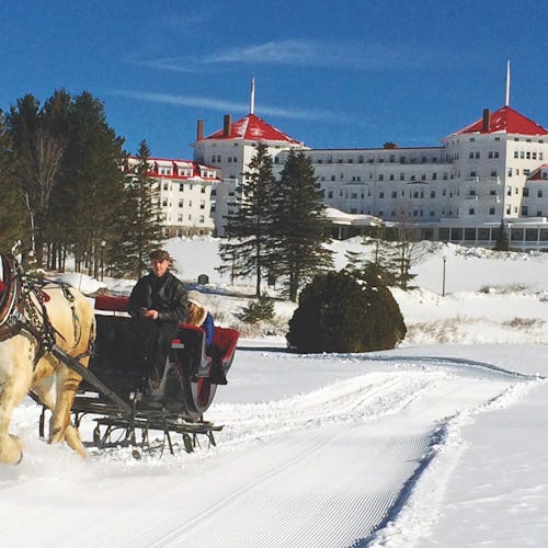 Winter sleigh ride, mt. Washington valley>