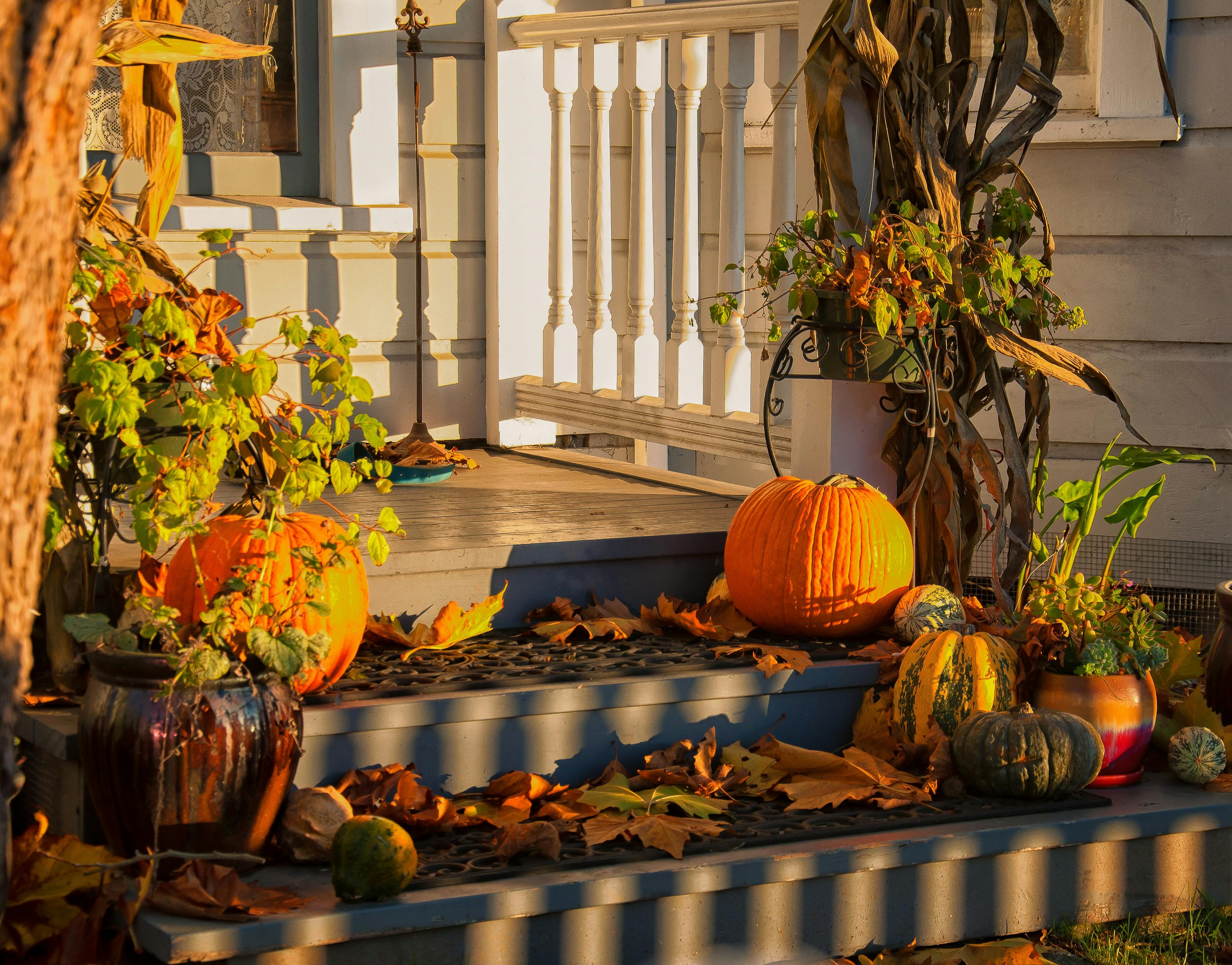 Is Fall a Good Time to Buy a Home? 