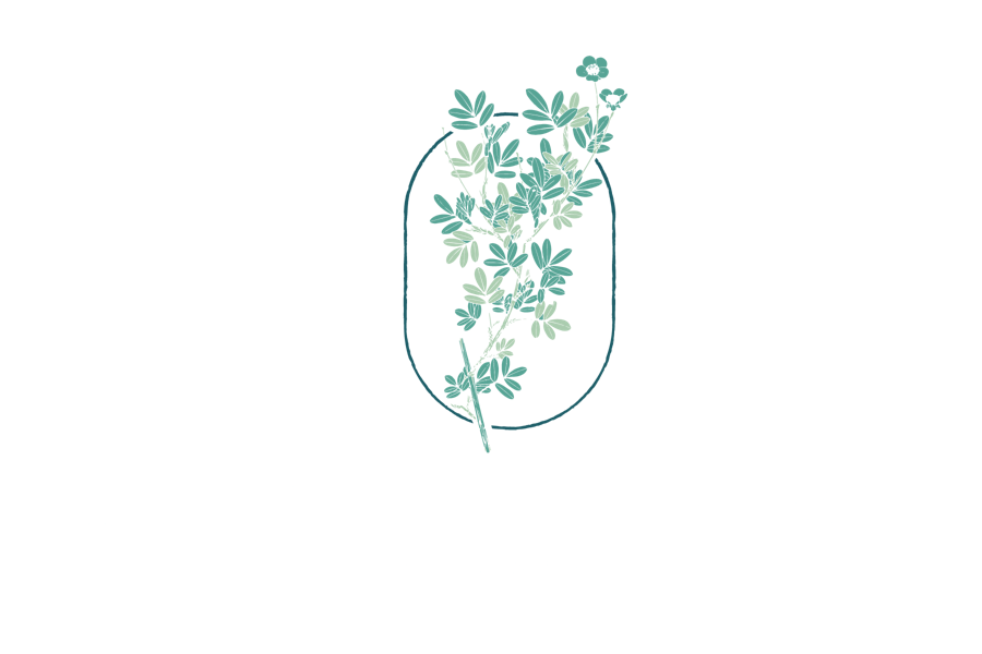 Summerwind Place