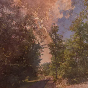 Copperwood