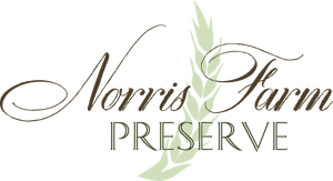 logo with green wheat