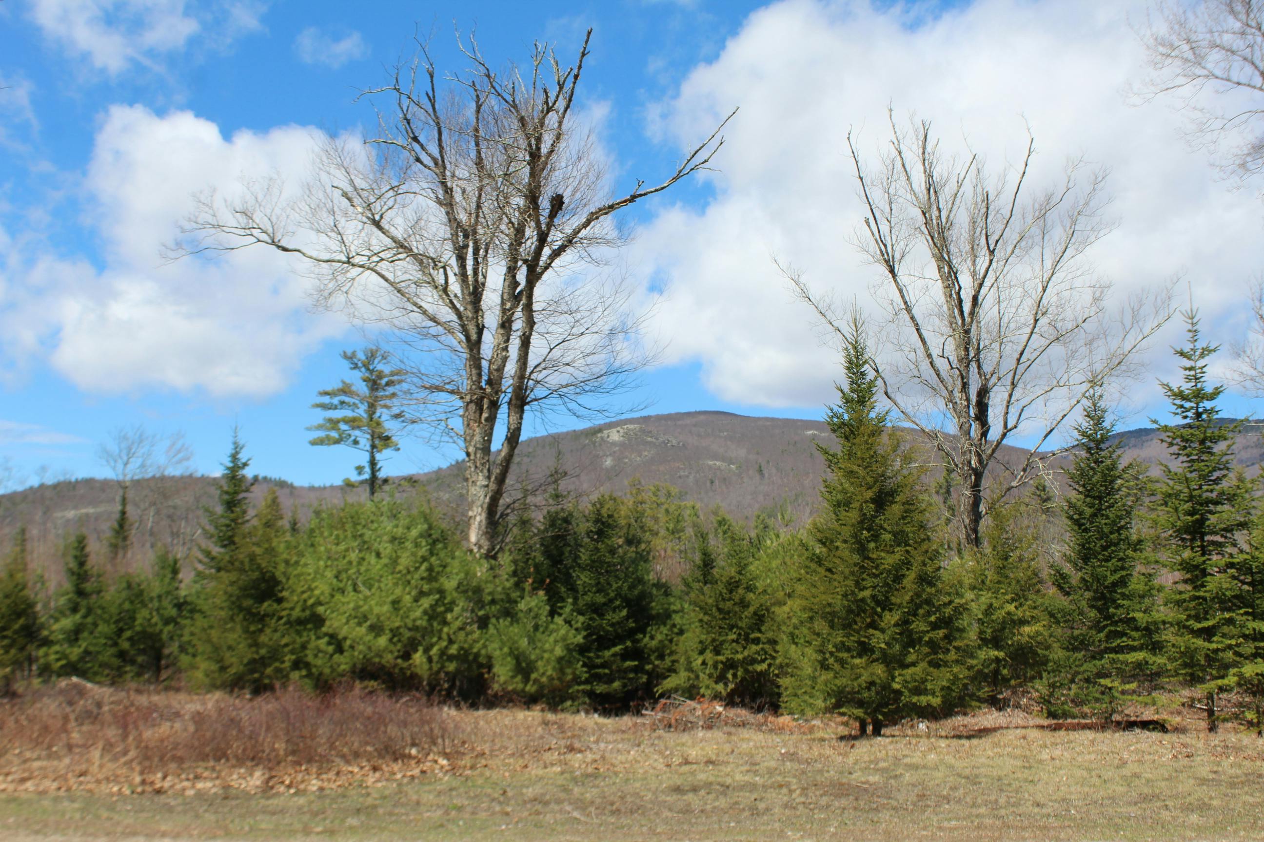 Mountain Shadows New Homes For Sale Tuftonboro, NH