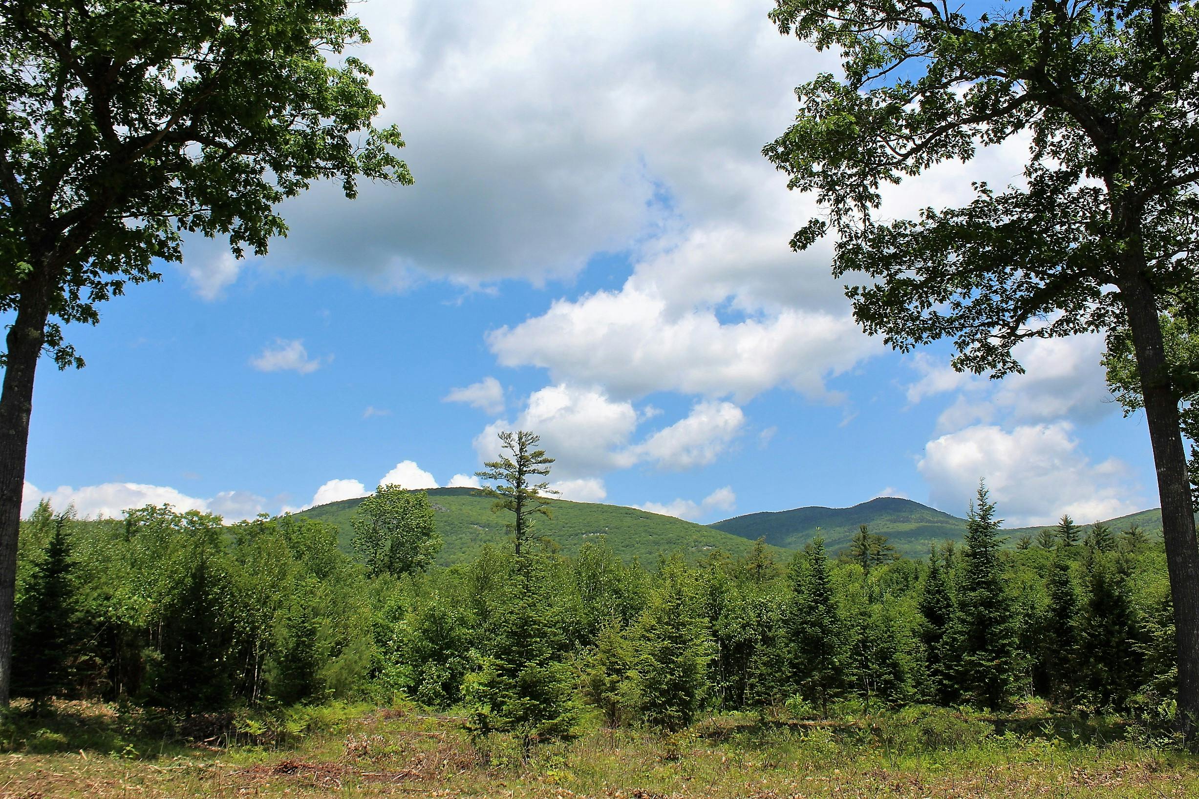 Mountain Shadows New Homes For Sale Tuftonboro, NH