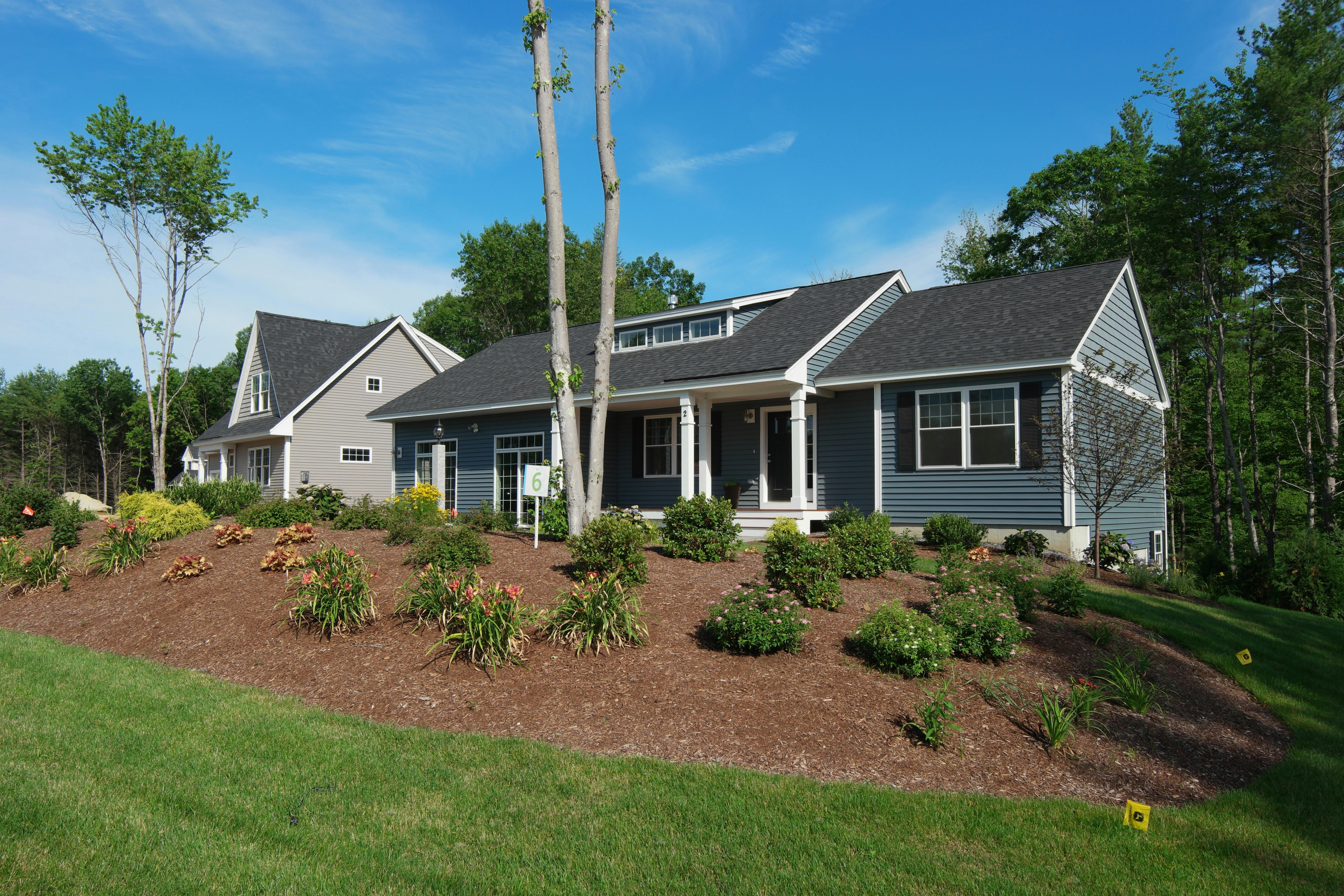 blue ranch style home
